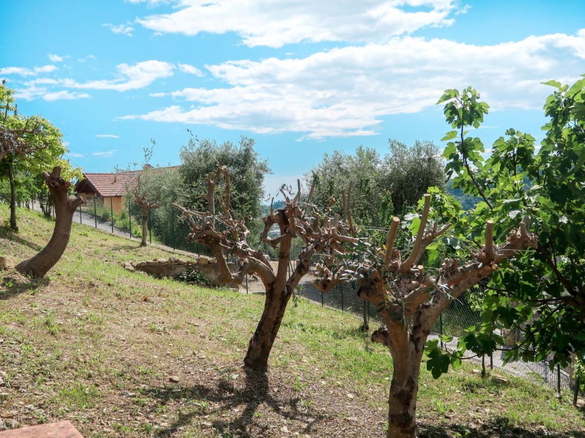 Holiday Home Ludovica By Interhome Soldano Exterior foto